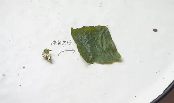 吃喝什么茶才能减肉肉 (解决夏季便秘最好的茶)