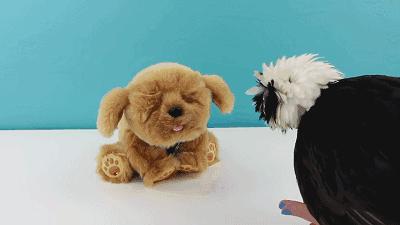 3种最适合送给孩子的高科技玩具,最实用的十款玩具推荐