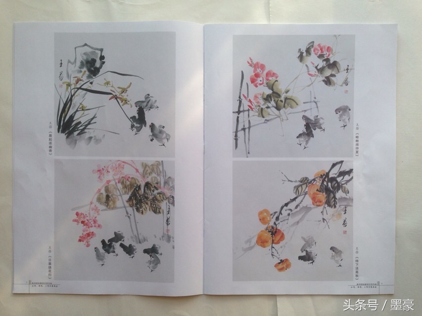 写意公鸡嘴的画法,公鸡母鸡小鸡国画图片