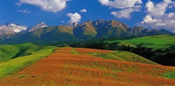 刘晓倩：庄主缺钱怎么办？