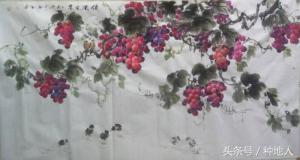 葡萄至今有几年历史,葡萄最早的时候是什么样的