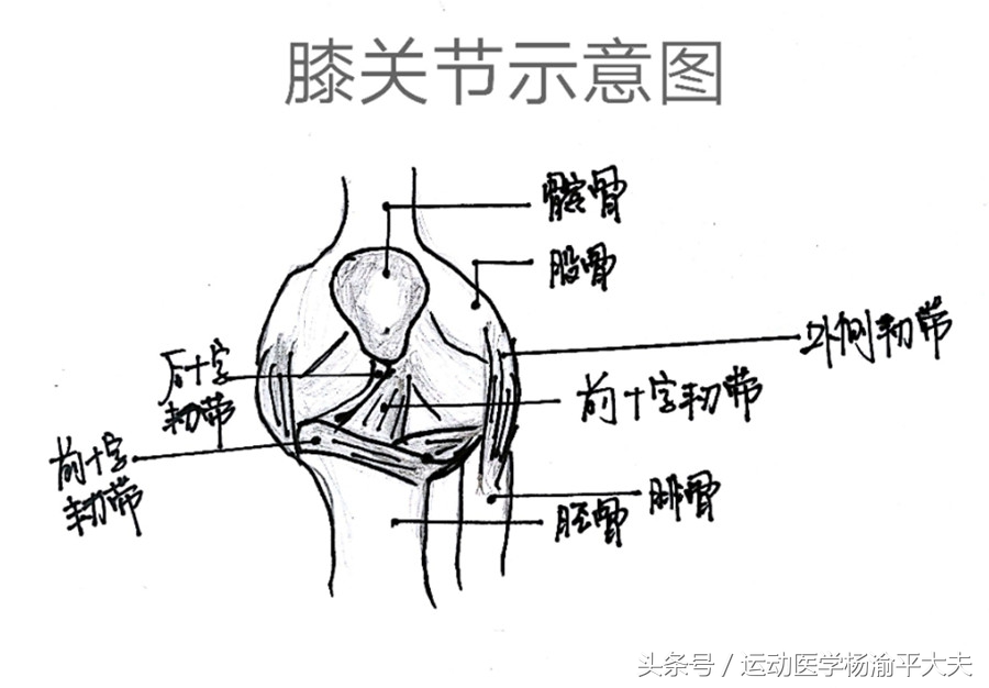 膝关节上楼不疼下楼疼是怎么回事,上楼时膝关节疼痛吃什么药