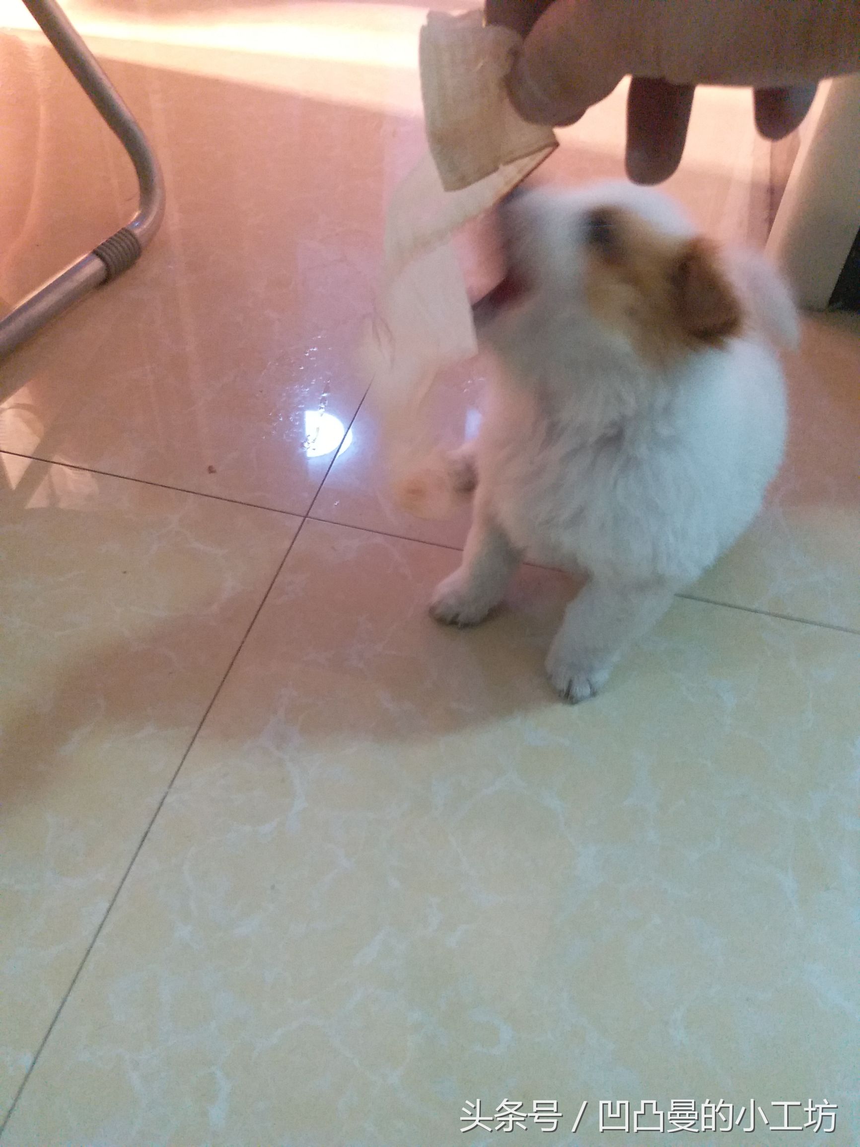 磨石条磨刀教程,教你磨刀入门