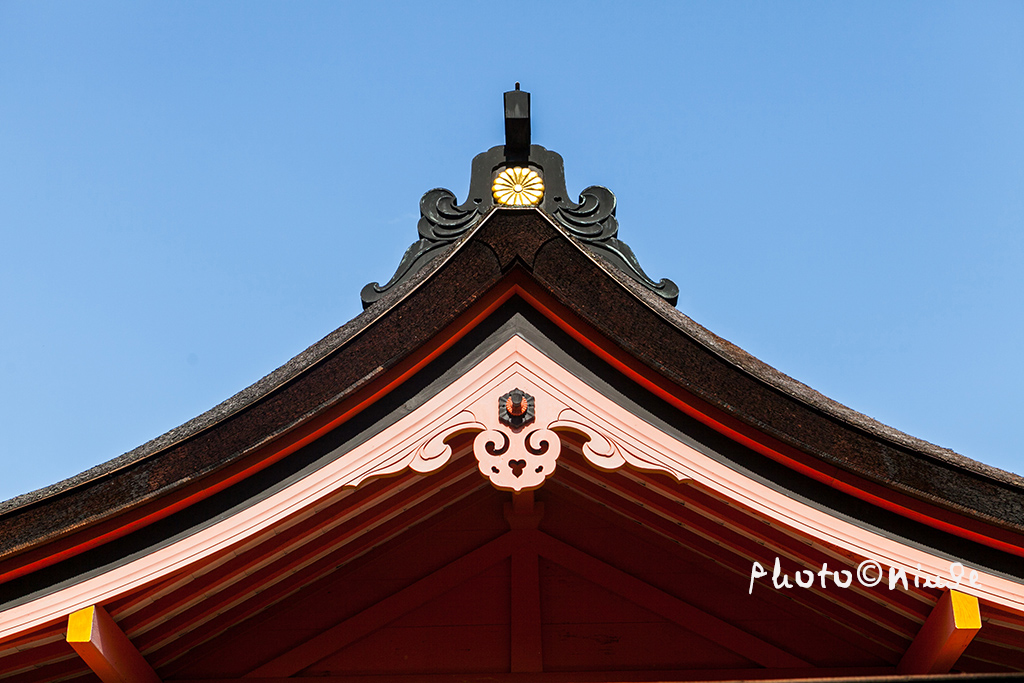 空姐在东京旅游,跟着游东京