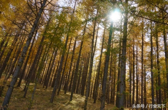 河北气候宜居的城市排名,河北空气质量最好的城市