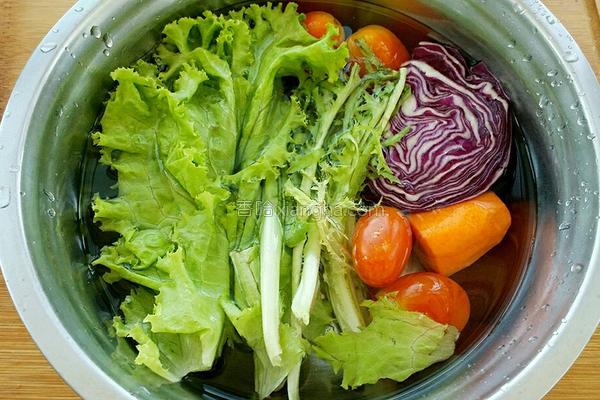 减肥的蔬菜沙拉有哪些,推荐6种美容又减肥的沙拉