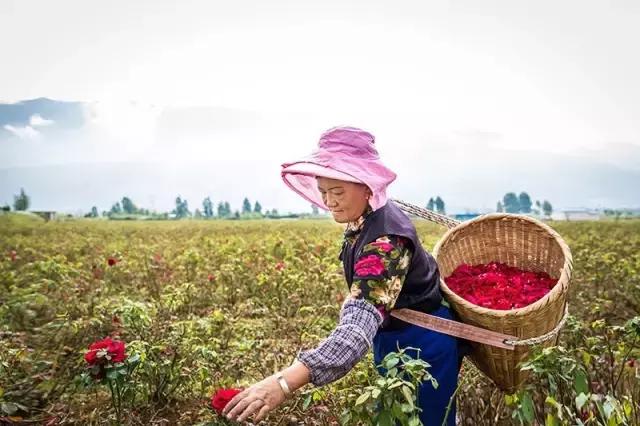 详情页评估,详情页检测报告可以用吗