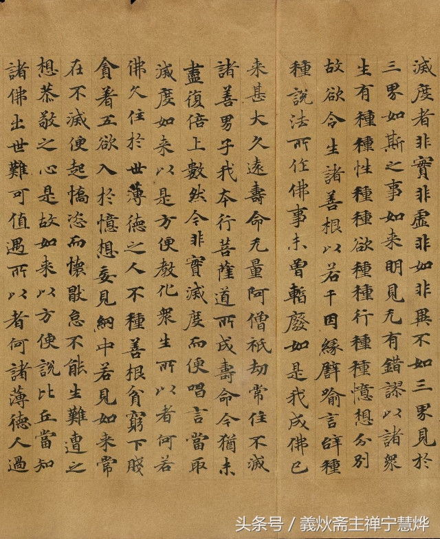 佛经经典经文楷书,佛教经文书法