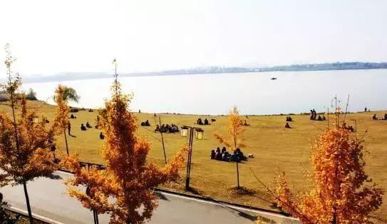 这所颜值逆天的学校，不仅是剧组常驻地，连教授都是国内一线明星