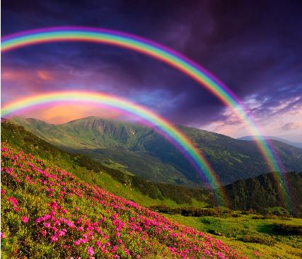 绿色的叶子为什么吸收红色光,叶子的颜色为什么会发生变化