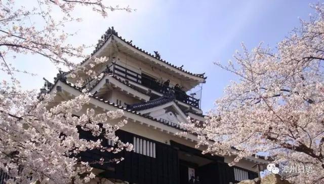干货分享留学生必备的几个网站,干货日本留学签证需要什么材料