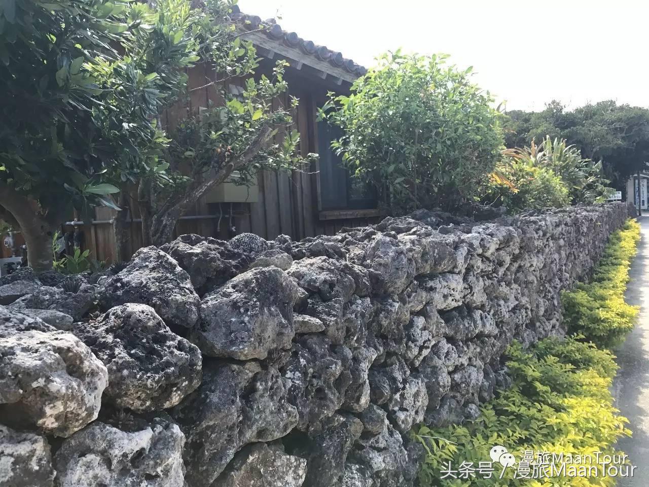 漫小Ni带你去日本浪：这才是日本冲绳的小众玩法