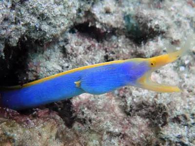 海岛自由行,睡到自然醒海边