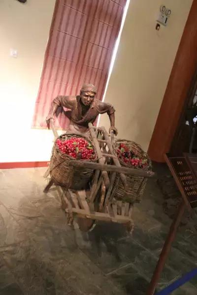 一组张裕爱斐堡酒庄实景图,蓝裕文化