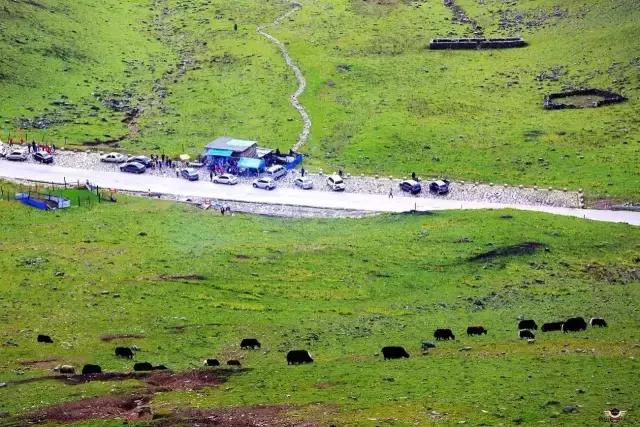 成都夹金山环线,成都夹金山骑行视频