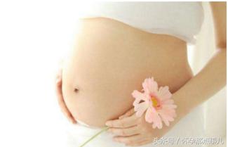 准妈妈孕期吃什么坚果好,孕期也需要补充蛋白质粉吗