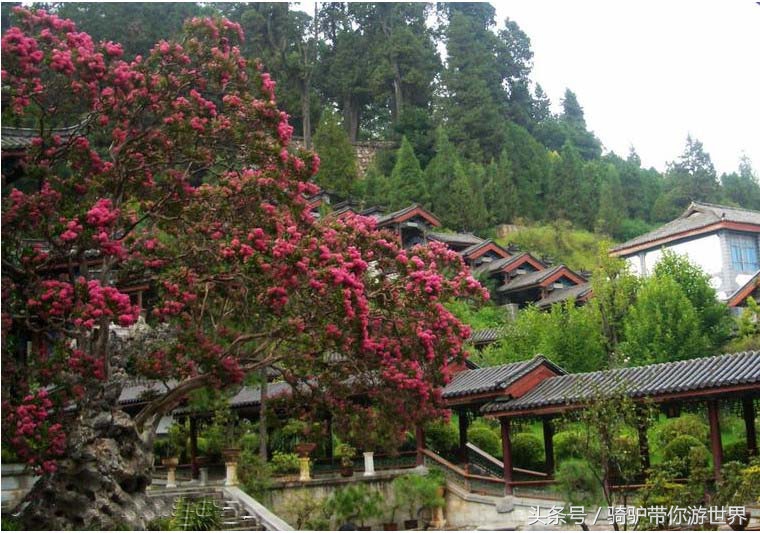 云南木府主人简介,云南木府电视剧