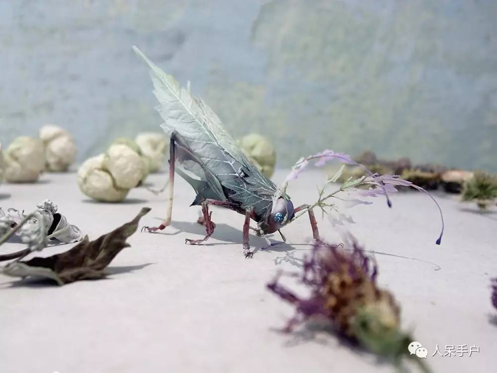 100人民币手工蝴蝶,昆虫大合集手工