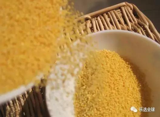 小米的功效与作用小米的营养价值,小米和黄小米的营养区别