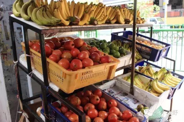 新加坡必备攻略,新加坡全程地铁游玩