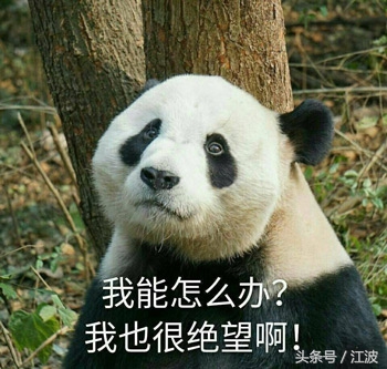 生酮过程皮肤瘙痒怎么办,生酮浑身痒