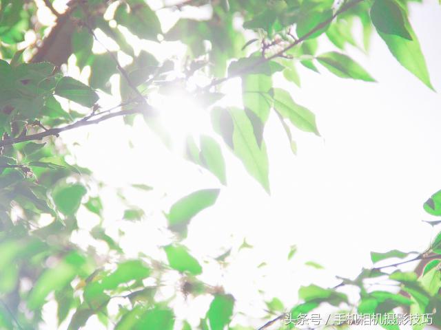 为什么你拍出来的照片很不好看,为什么拍出来的照片反过来就难看