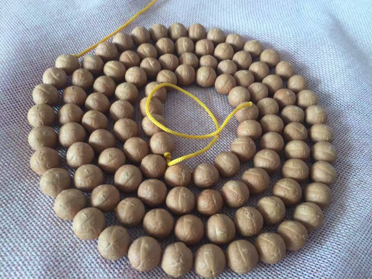 佛教记载的凤眼菩提,凤眼菩提佛教含义