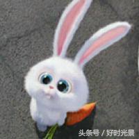 哥哥太爱我怎么办短剧,哥哥太爱我了怎么办电影上映