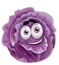 紫甘蓝大人怎么吃,紫甘蓝的正确吃法是什么