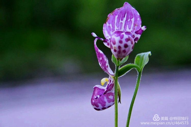 走过四季夏天最美,走过春夏美丽的秋冬