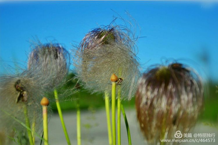 走过四季夏天最美,走过春夏美丽的秋冬