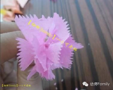 母亲节康乃馨图片大全大图,母亲节礼物手工康乃馨用卫生纸折