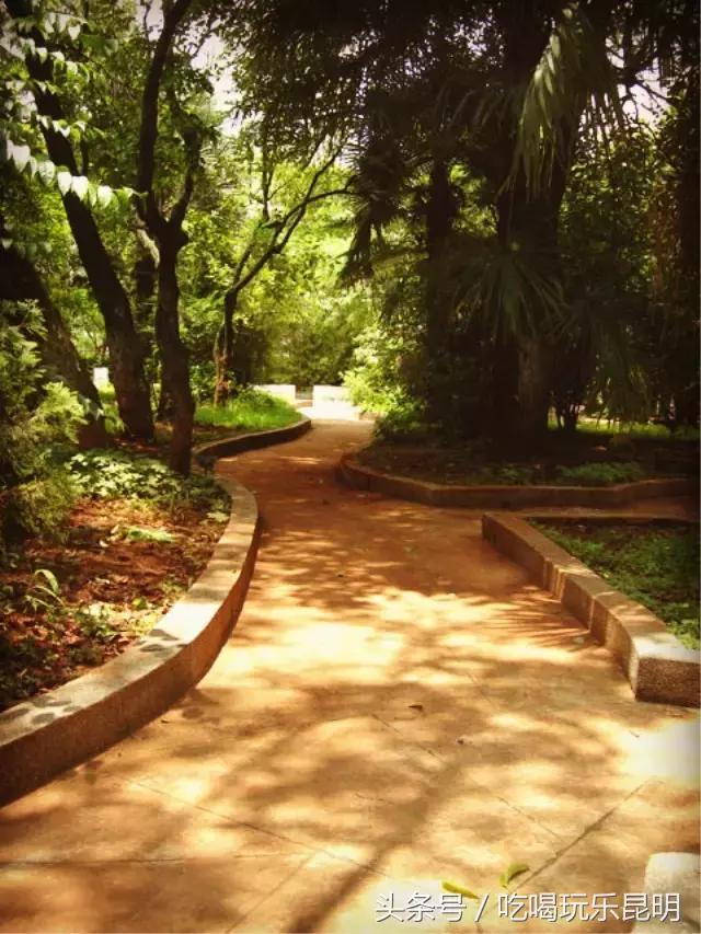 昆八中介绍,再见八中