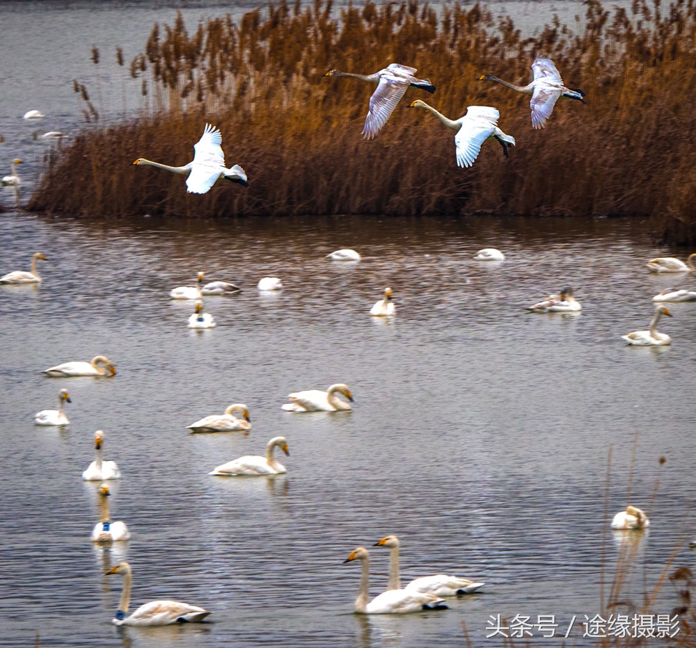 经过湖北最绕的高铁路线，直线900公里绕出了1800公里长度