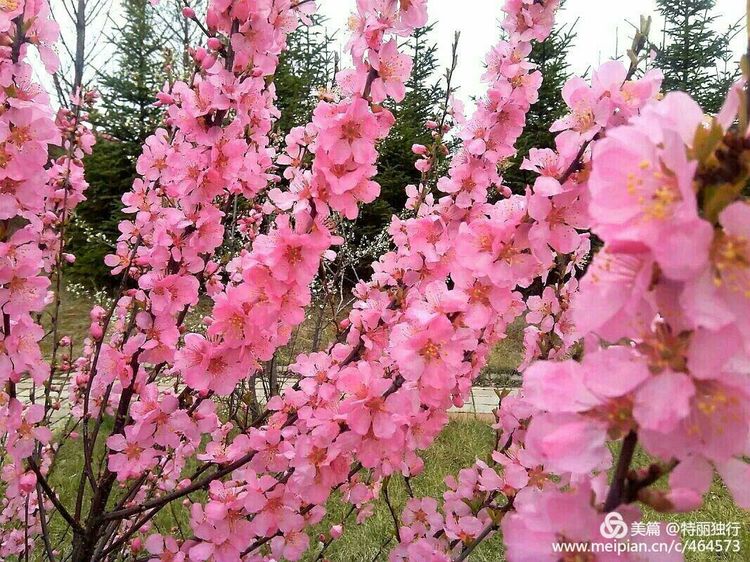 走过四季夏天最美,走过春夏美丽的秋冬