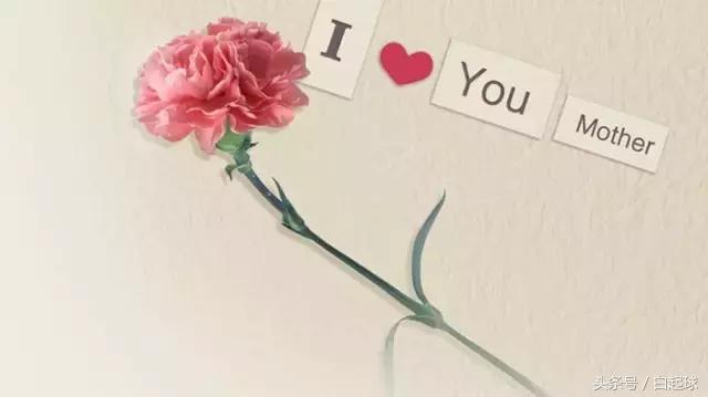 有关母亲节感恩母亲的文章,母亲节不忘娘恩