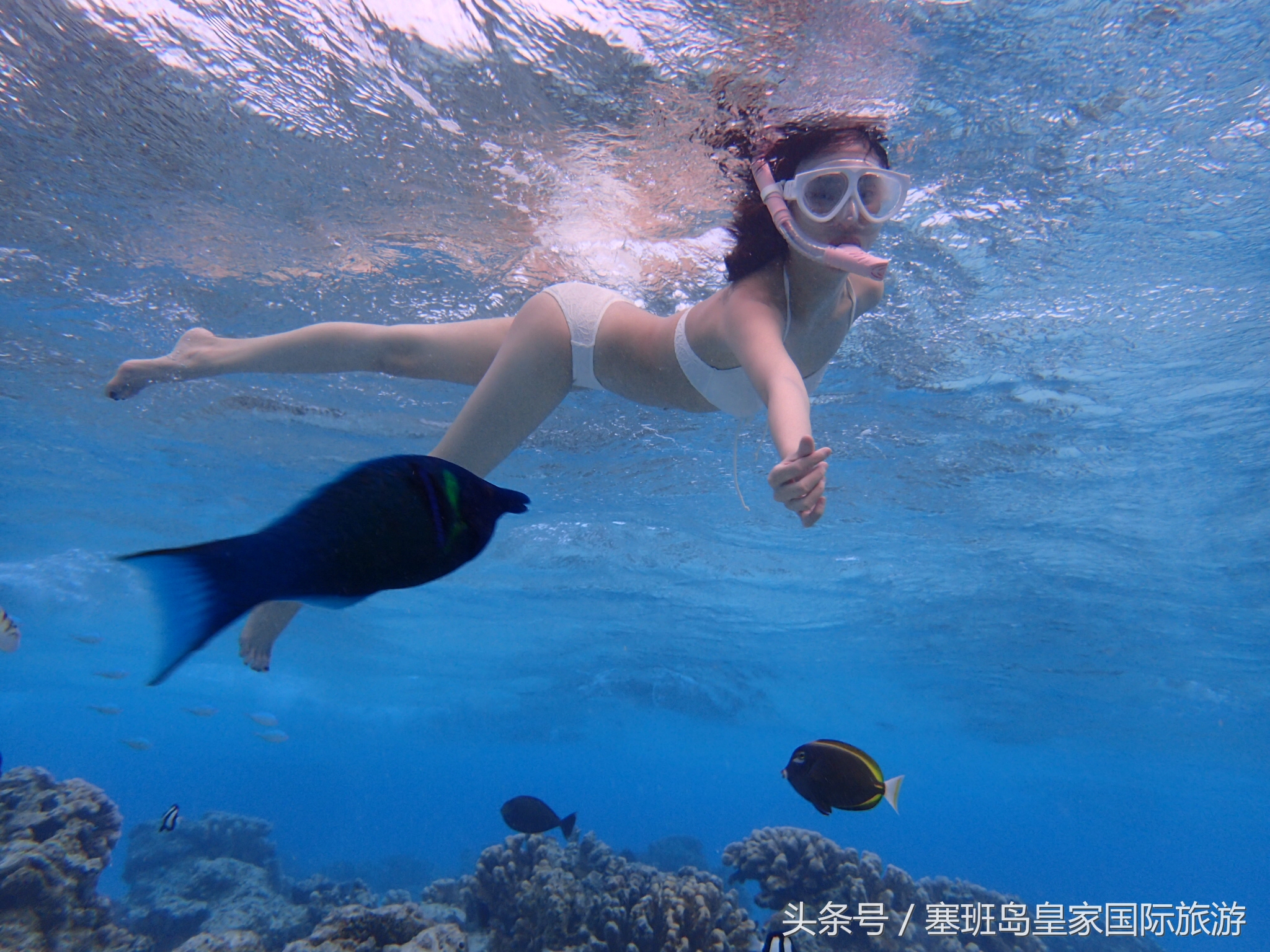 巴厘岛和塞班岛哪个便宜,去塞班岛还是巴厘岛好