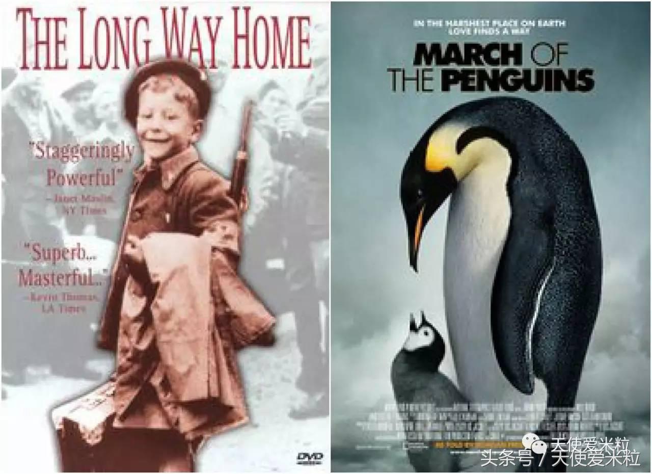 摩根弗里曼获得奥斯卡哪年,摩根弗里曼得过几次奥斯卡