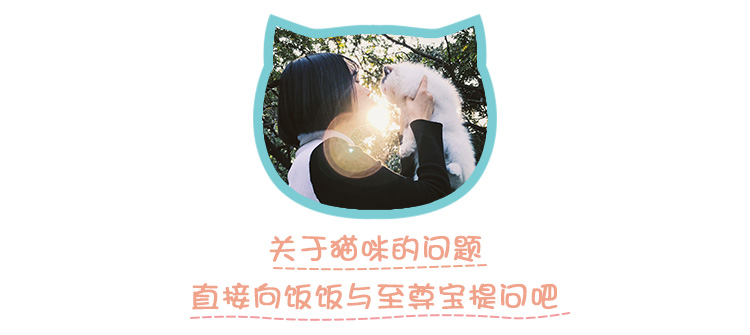 家里的两只猫都是公的咋办,家里两只猫怎么处理好