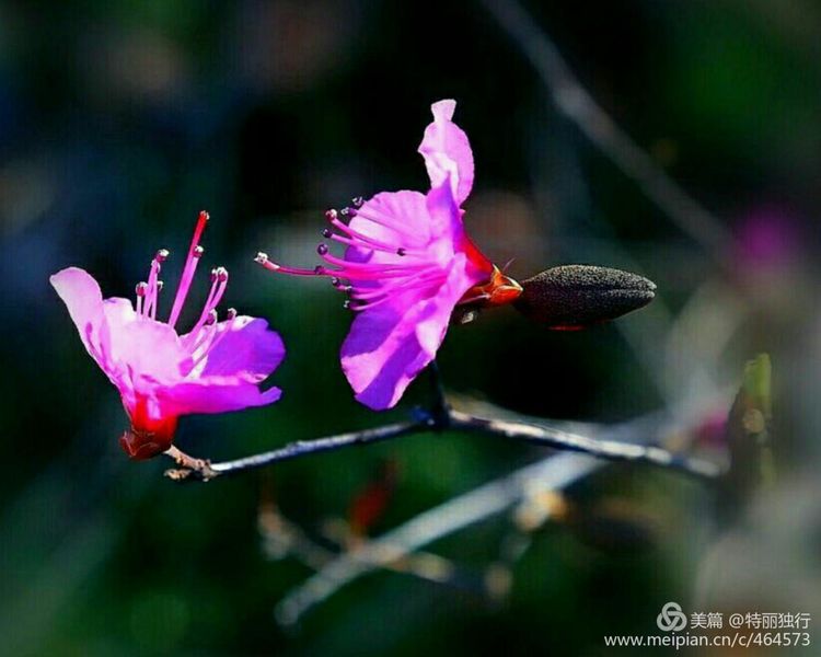 走过四季夏天最美,走过春夏美丽的秋冬