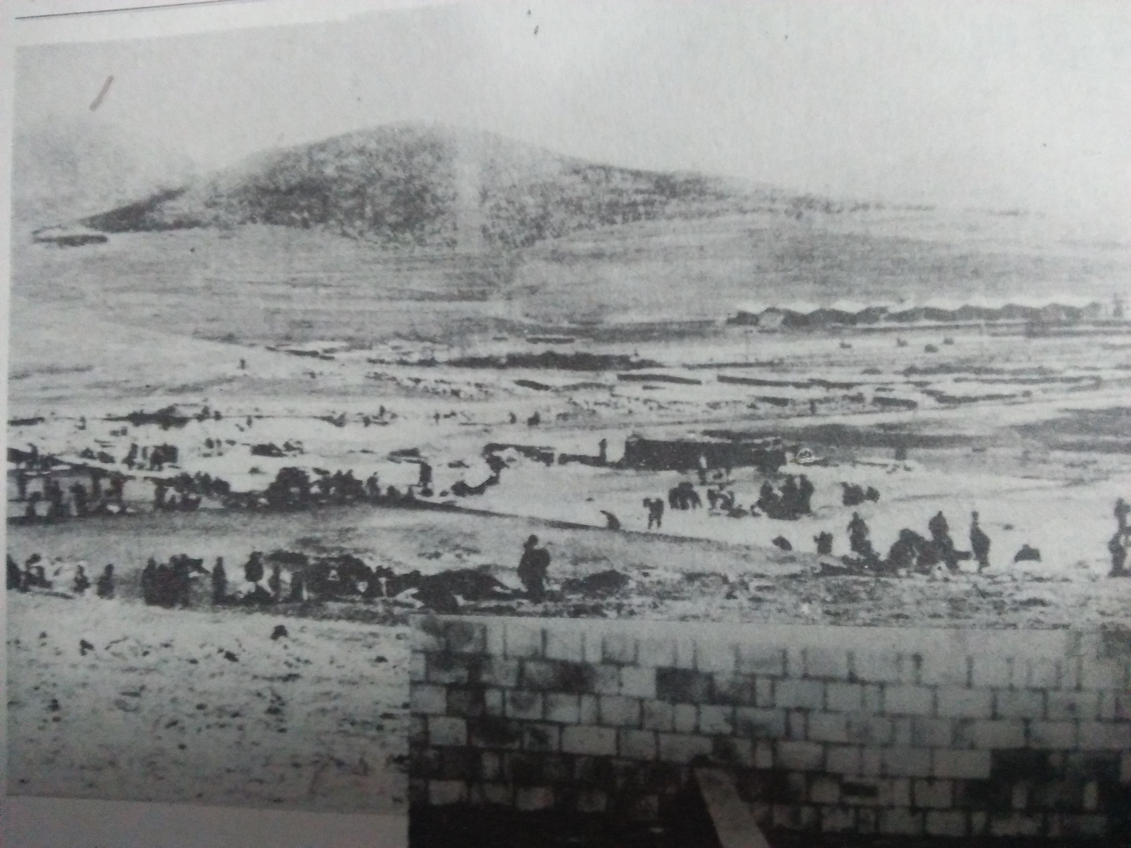 大连大化集团全称,大连大化集团破产重组现在怎样