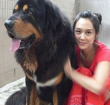 贝克汉姆花了多少钱,贝克汉姆每月花费