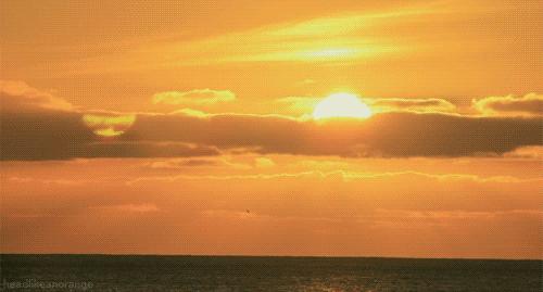 「新品试色」写意山水，永恒生命—MACxMINLIU彩妆系列