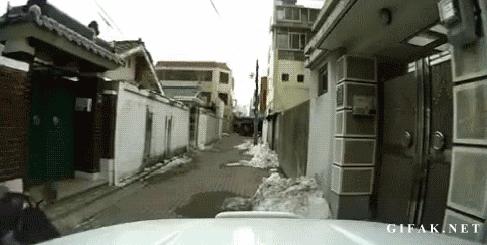 没开玩笑！快递员上门送货，可能是来求婚的