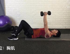 哑铃塑形动作大全,20斤哑铃练手臂的全套动作