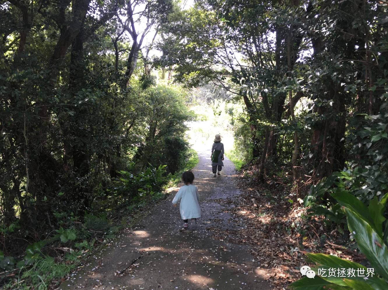 鎴戝湪妯辫姳灏忛晣,鍦ㄦū鑺遍鑸炵殑瀛ｈ妭