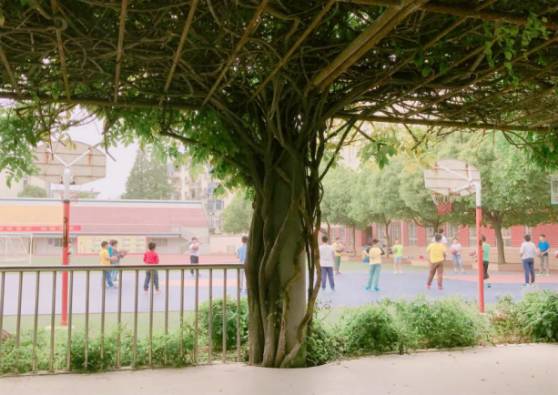 蚌埠三实小,蚌埠三实小是属于高新区么