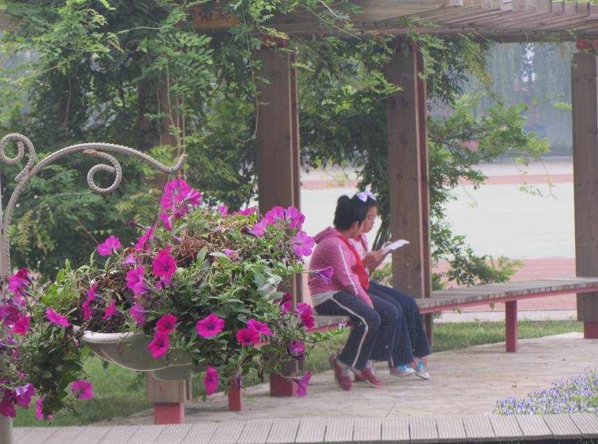 新优质学校展示会,新优质学校风采展示