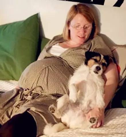 怀孕时养狗狗有问题吗,怀孕养狗会导致胎停吗