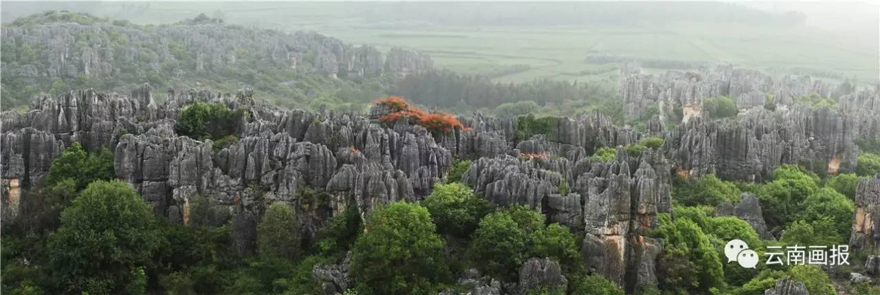 云南最值得去的地方排行榜第一名,云南哪些方面世界第一